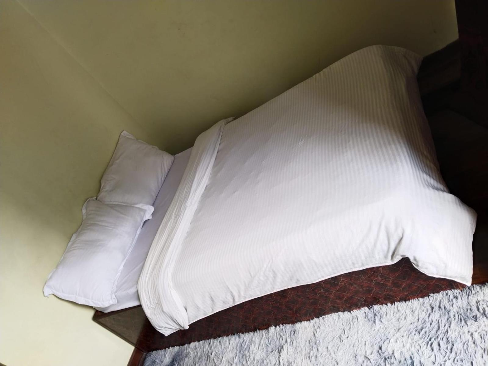 Kathmandu Airport View Hotel And Lodge エクステリア 写真